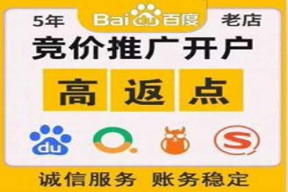 托管竞价sem案例分享：某电商平台的成功之路